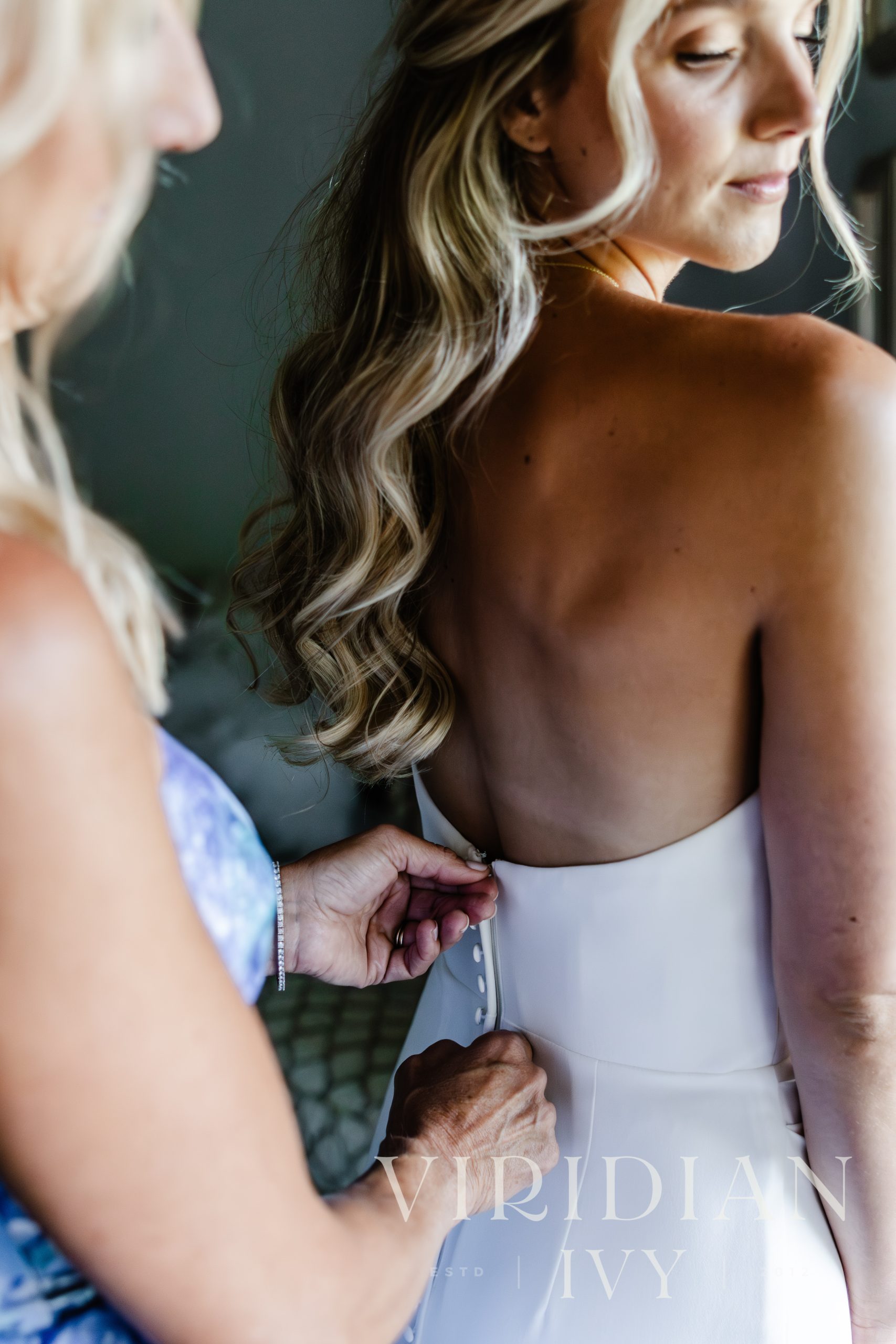 Meghan + Luke Wedding | Meadowbrook Country Club | Michigan Wedding  Photographer | Viridian Ivy | Northwest Ohio Wedding and Portrait  Photographer